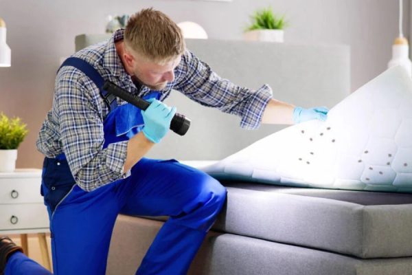 Banner-Image_Blog-5-Addressing-Bed-Bug-Infestations_-Professional-Pest-Control-Services-in-Chennai-1080×600-1-qt0q7r0wkq7boebn2l4r8713kf3qdr7w0t2umwavfk Banner-Image_Blog-5-Addressing-Bed-Bug-Infestations_-Professional-Pest-Control-Services-in-Chennai-1080x600-1-qt0q7r0wkq7boebn2l4r8713kf3qdr7w0t2umwavfk