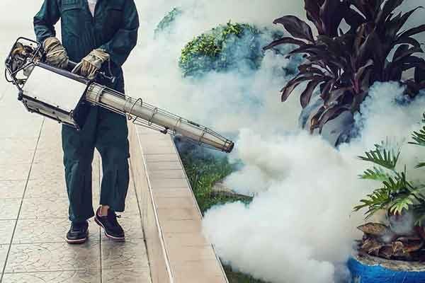 Mosquito-Pest-Control-Services-qt0q4690kfb1htioyjgv8liy6mqg380nv3pbm2dn28 Mosquito-Pest-Control-Services-qt0q4690kfb1htioyjgv8liy6mqg380nv3pbm2dn28