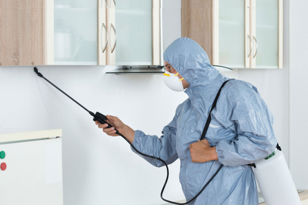 pest-control-qt0q2lup6d5u57sm3v392zrajigf9dsrnck73dxfhc pest-control-qt0q2lup6d5u57sm3v392zrajigf9dsrnck73dxfhc